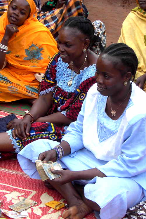 img-microfinance-and-social-economy