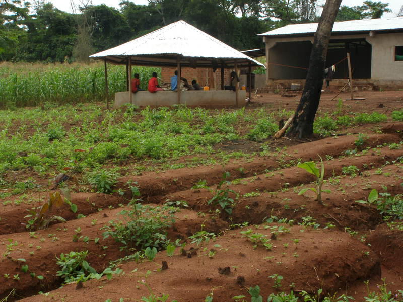 img-project-kizito-agro-pastoral-educational-center-for-street-children