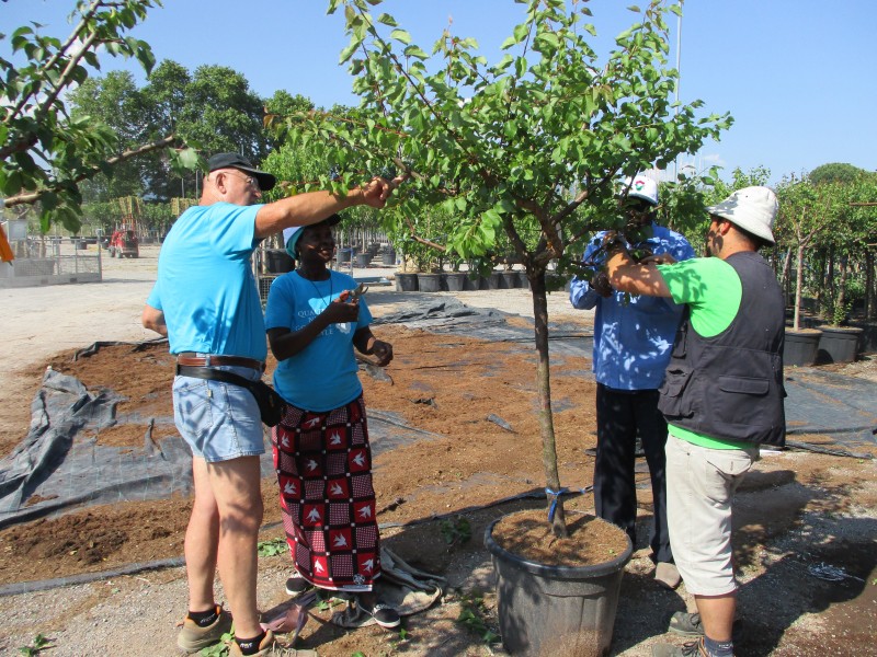 img-development-of-water-resources-for-human-consumption-and-for-agro-zootechnical-production