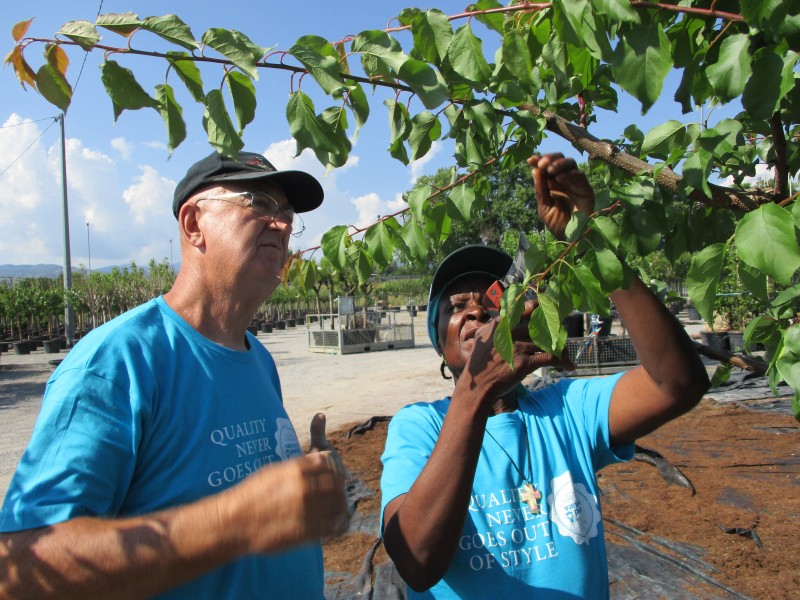 img-development-of-water-resources-for-human-consumption-and-for-agro-zootechnical-production