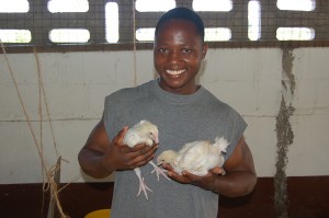 img-chicken-coop-purchase-of-a-pick-up