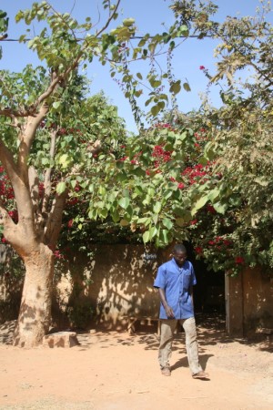 img-a-four-year-study-course-in-agricultural-science-and-entomology