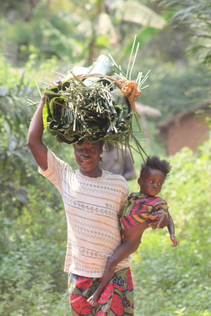 img-support-program-to-the-development-committee-of-mbata-cassava-drying-areas