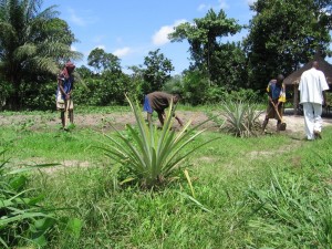 img-fishing-and-agriculture-project